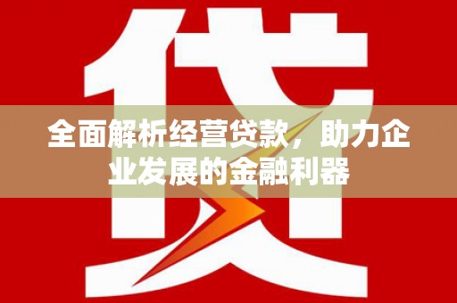 城固全面解析经营贷款，助力企业发展的金融利器