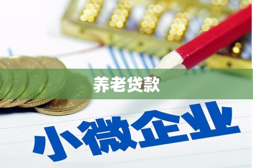 城固养老贷款