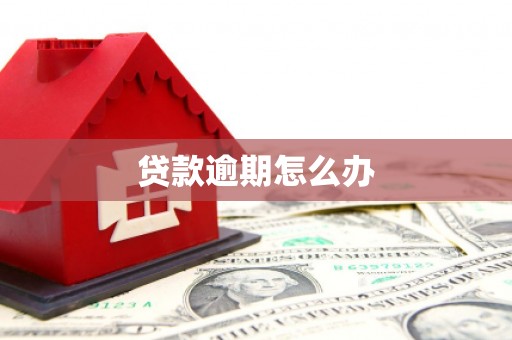 城固贷款逾期怎么办