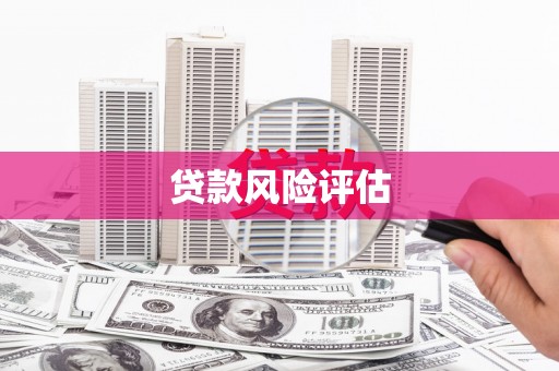 城固贷款风险评估