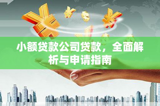 城固小额贷款公司贷款，全面解析与申请指南