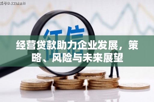 城固经营贷款助力企业发展，策略、风险与未来展望