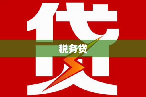 城固税务贷