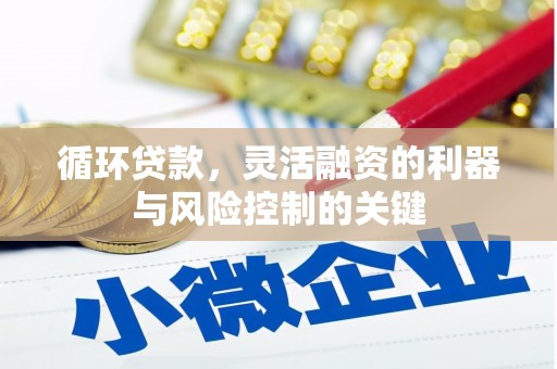 城固循环贷款，灵活融资的利器与风险控制的关键