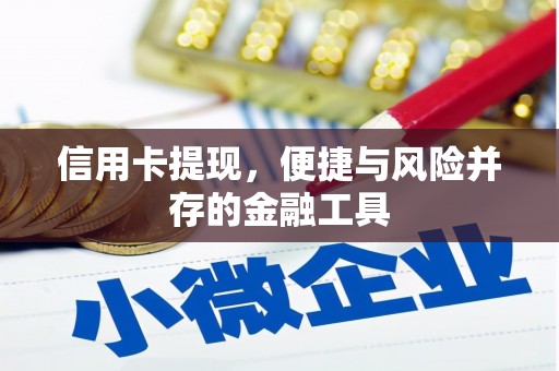 城固信用卡提现，便捷与风险并存的金融工具