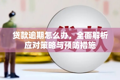 城固贷款逾期怎么办，全面解析应对策略与预防措施