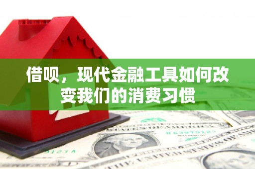 城固借呗，现代金融工具如何改变我们的消费习惯