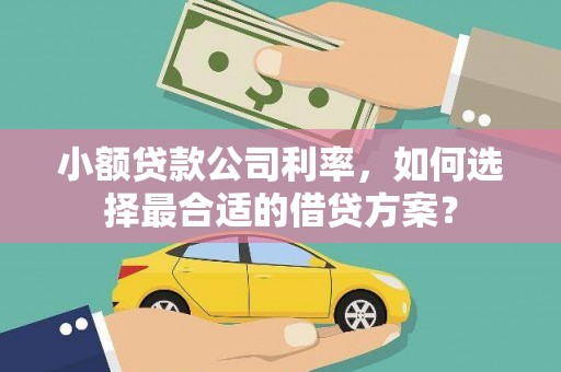 城固小额贷款公司利率，如何选择最合适的借贷方案？