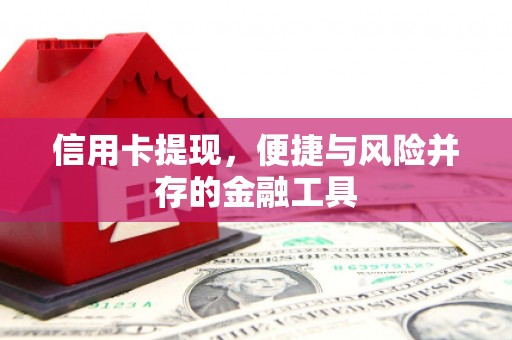 城固信用卡提现，便捷与风险并存的金融工具