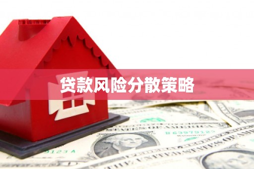 城固贷款风险分散策略