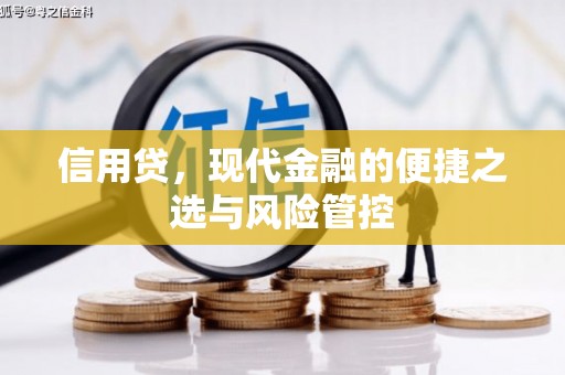 城固信用贷，现代金融的便捷之选与风险管控