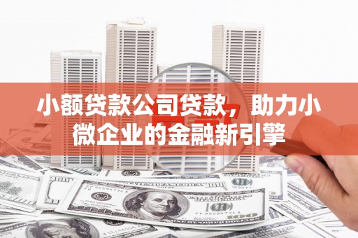 城固小额贷款公司贷款，助力小微企业的金融新引擎