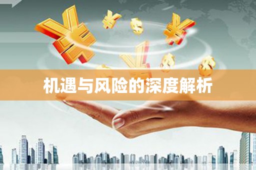 城固机遇与风险的深度解析
