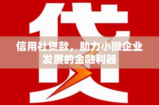 城固信用社贷款，助力小微企业发展的金融利器