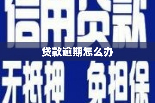 城固贷款逾期怎么办