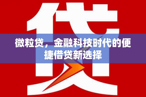 城固微粒贷，金融科技时代的便捷借贷新选择
