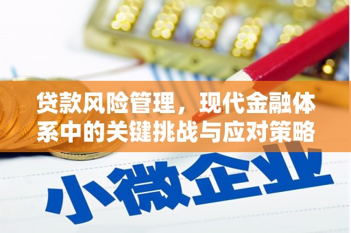 城固贷款风险管理，现代金融体系中的关键挑战与应对策略