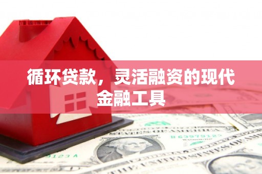 城固循环贷款，灵活融资的现代金融工具