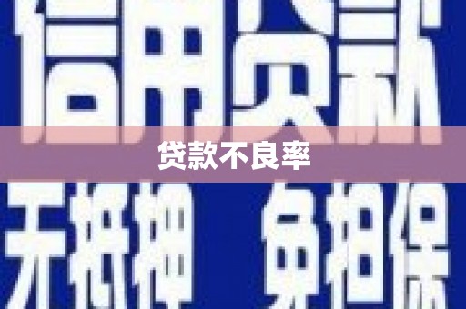城固贷款不良率