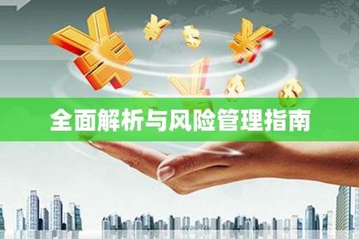 城固全面解析与风险管理指南