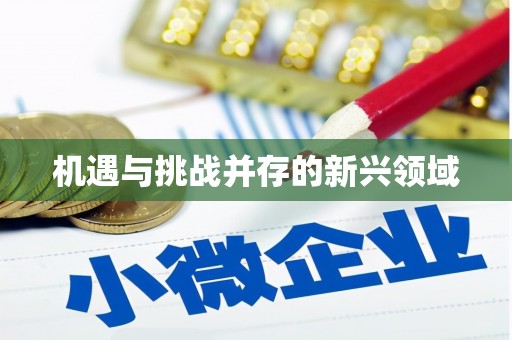 城固机遇与挑战并存的新兴领域