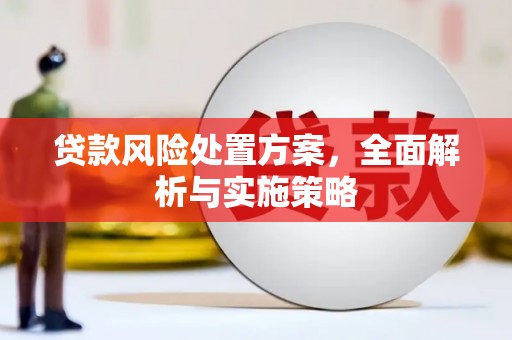 城固贷款风险处置方案，全面解析与实施策略