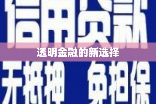 城固透明金融的新选择