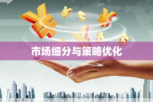 城固市场细分与策略优化