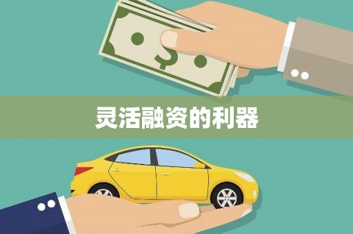 城固灵活融资的利器